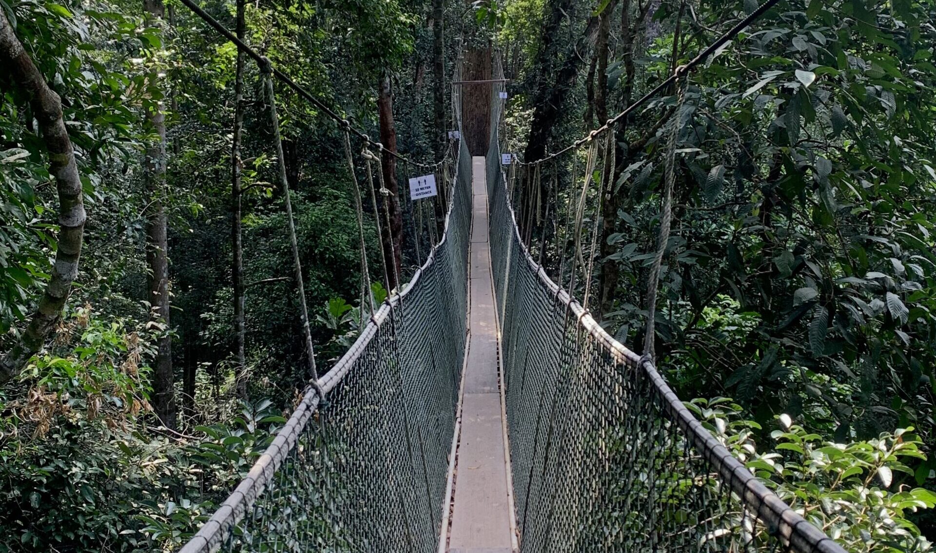 image00012