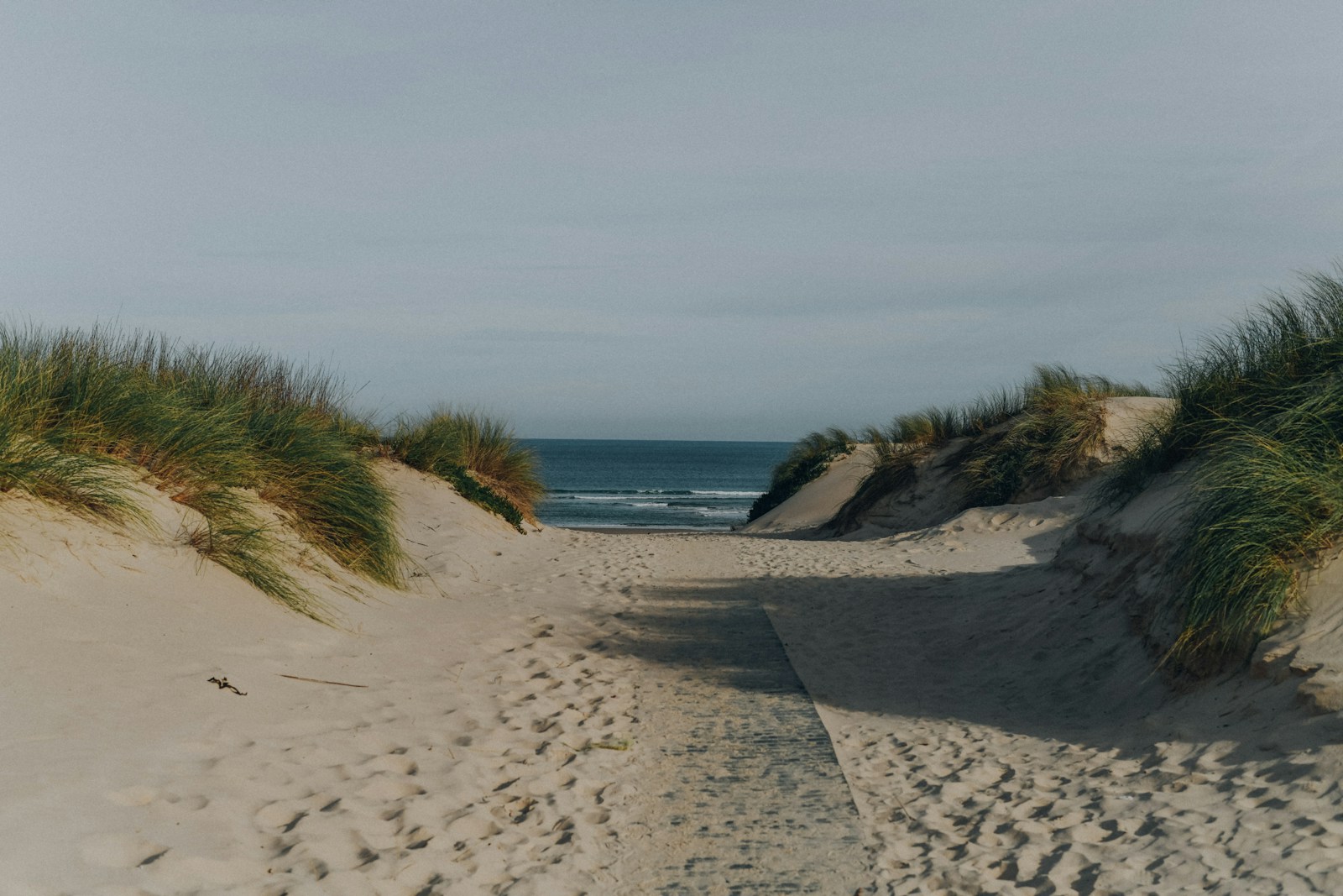 Photo by Alina Shchurova sandy path leading to the sea at the beach under grey sky